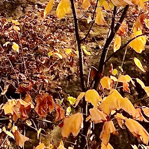 W  o  n  d  e  r  .  O  f  t  e  n  ..  🤭