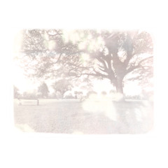 Setengah Lima (Sore Cover)