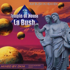 Am'Bush In Heaven (An Retrospective Of La Bush - Temple Of House)