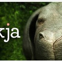 Okja (2017) (PelicuLaCompLeta) en MP4/MOV/1080p ~ Español'calidad 1743656