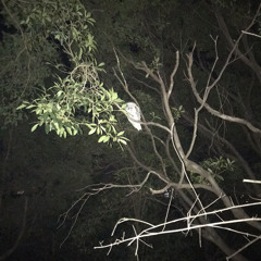 Selected Impressions #2 September 2012 Live mix