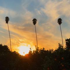 Concentration (Instrumental)