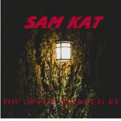 The space between us