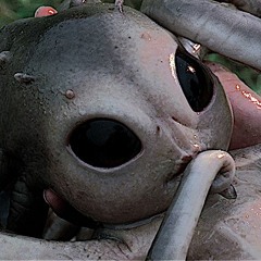 Flashcore Will Never B The Same