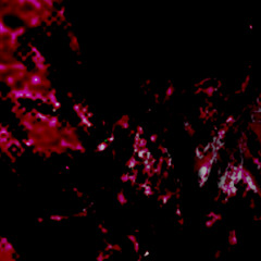 PERDITION - Cover (Not finishing ts)