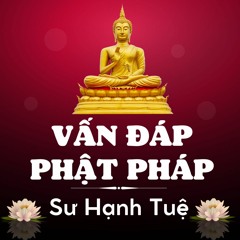 Vấn Đáp Phật Pháp - Sư Hạnh Tuệ