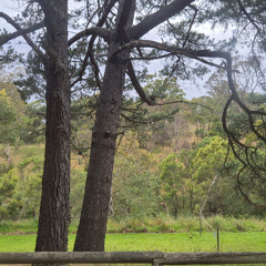 at crystal lake - Part I