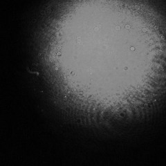 Week 3 Debrief But Make It Lofi(but not really lofi)