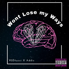 Wont Lose My Ways - R2DTucci X Addis