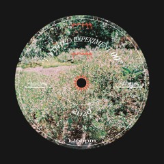 UNTITLED EXPERIMENT 00