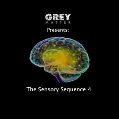 Presents: The Sensory Sequence 4