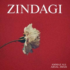 Zindagi - Ammaz Ali ft. Arsal Awais