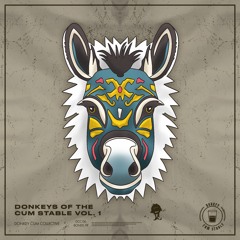 Virtuol Dijo - Dubstep Gutter Donkey Time