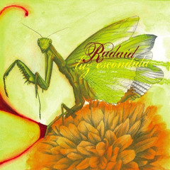 Hombre Mirando al Norte (Un Pueblo Callado al Verle Partir)