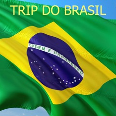 Trip Do Brasil