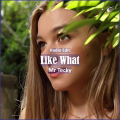 Mr Tecky - Like What [ Deep House Music]