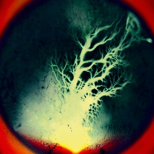 TZESNE - QnoisenoCARRIER