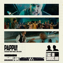 MALIK. X Wali Aleem - PAPPU!