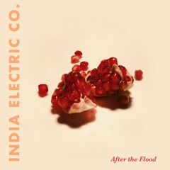 India Electric Co. - Pomegranate - 03 - After The Flood