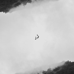 Astral [Alternative Version] (Feat. sewerperson, Days to waste & ghostsocial)