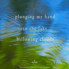 plunging my hand into the lake [naviarhaiku581]