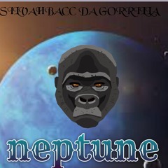 Silvahbacc - Neptune