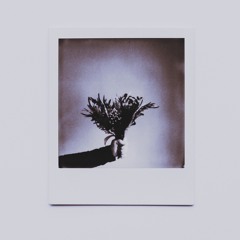 can't take it anymore