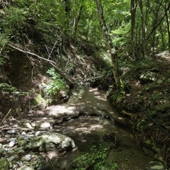 i spoke to the devil in malpaga, he said everything would be fine