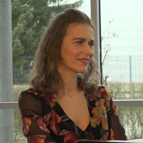 Stream Two chinese songs Why Are The Flowers So Red and Wo Song by