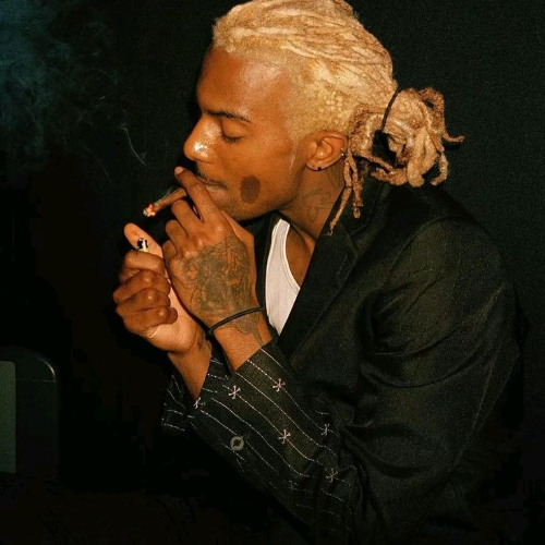 playboi carti smoking cigarettes Music Hip Hop Rap Singer Star Wall Art Home - POSTER 20x30 Stream Bring your Friends by