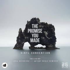 The Promise You Made (Luca Guerrieri Remix Edit)