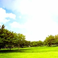 Feito Alpargata (Roberto Luzardo e Lisandro Amaral) Cicero Camargo