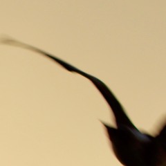 º_º  Stay Away From The Moon