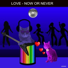 Love Now Or Never