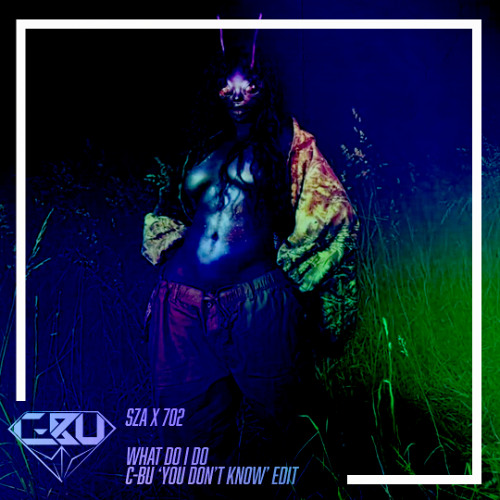 [SNIPPET] SZA x 702 - What Do I Do (C-Bu 'You Don't Know' Edit)
