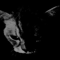 KittyFlip.NRG - Techno Mix