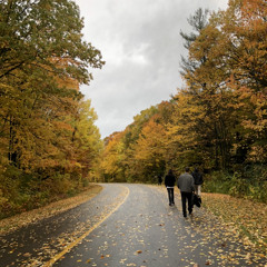 MTG Feat.lb66 - my own (prod. lb66)