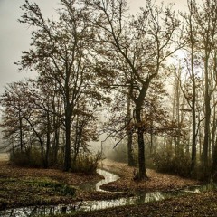 Journey Along The Banks : written by Swarn Gill : read by @megwaf