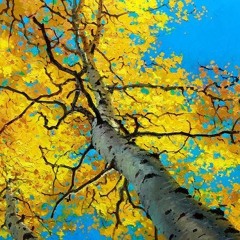November Song