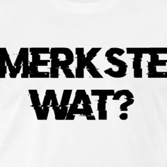 Merkste Watt    Rapidnoize - 5MOnkEY's