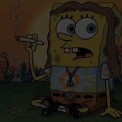 Solayce - Mexico Freestyle