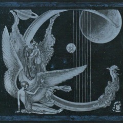 moonflower
