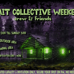 Trippy Wonka @ VF Collective Weekender 15.09.2024