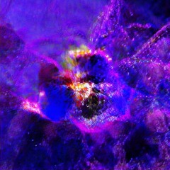 floating down the moon meander into the sky