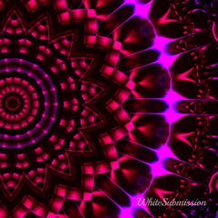 BNWO - Group Fuck POV (TEASER)