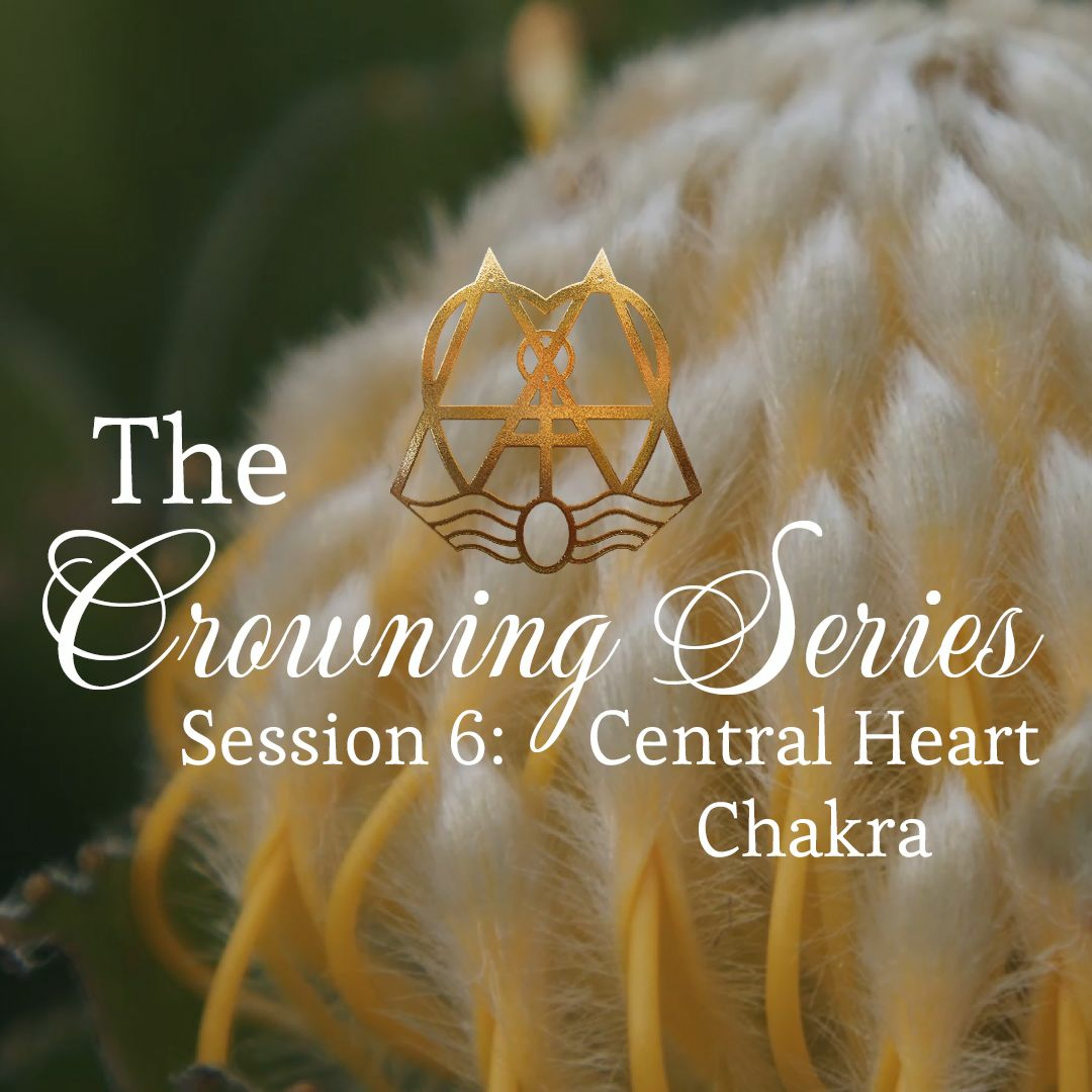 The Crowning Series Attunements: Session 6 - Central Heart Chakra