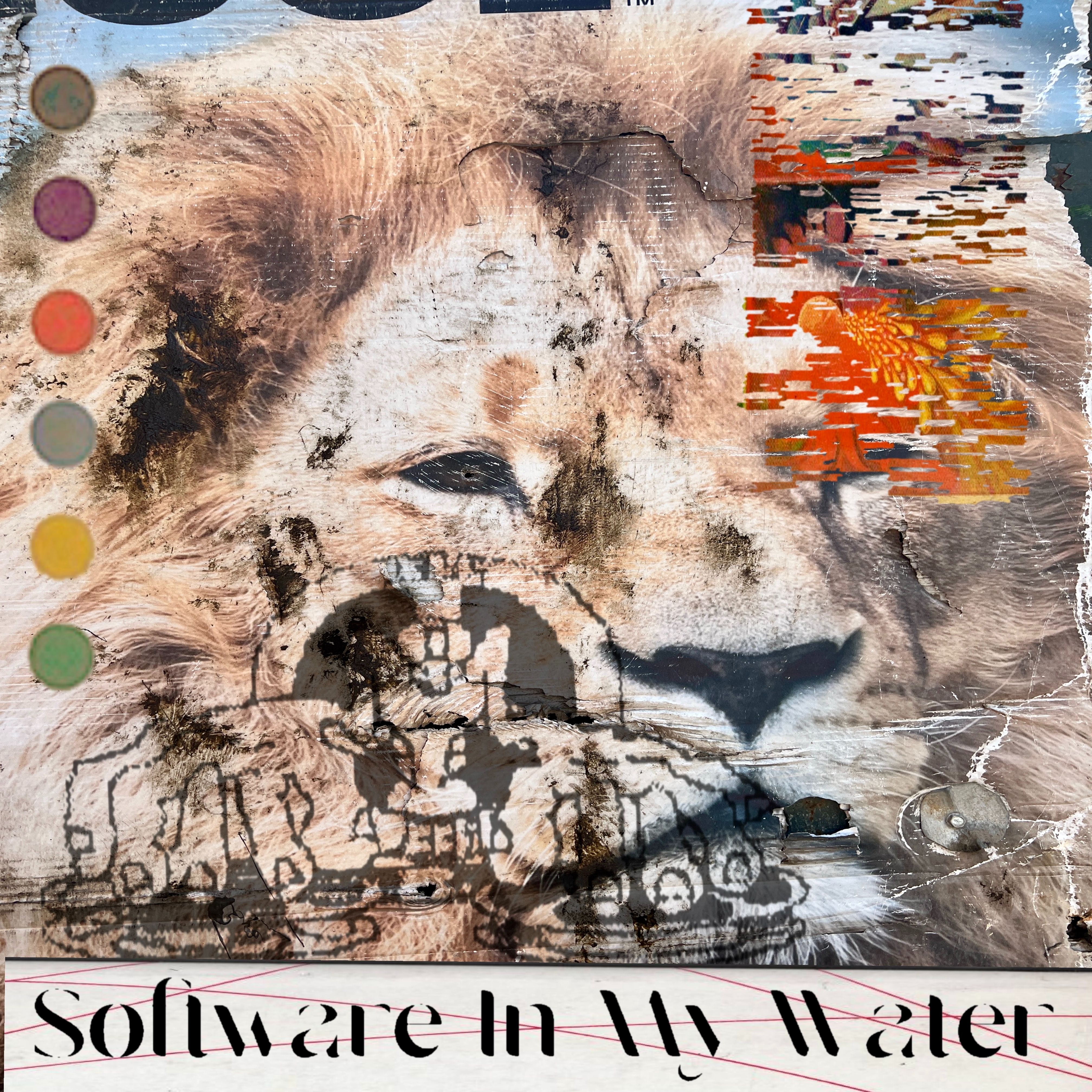 Software In My Water (Trancebreaks Mix)