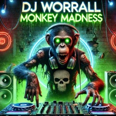 DJ WORRALL MONKEY MADNESS