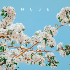 Muse | Sentimental