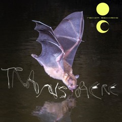 Transaere Snippets - Nehza Records